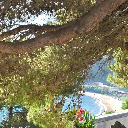 아파트 Pool With Panoramic View 펠레카스