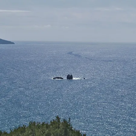 Pool With Panoramic View *